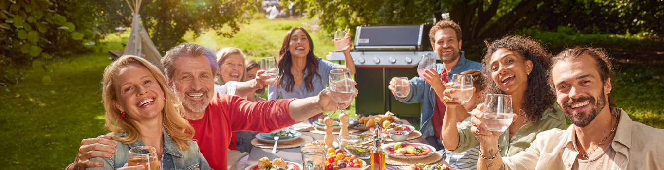 Weber Gasgrill