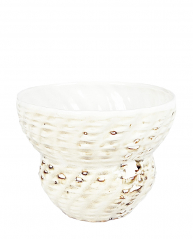 Christina Iversen Studio Becher Shell