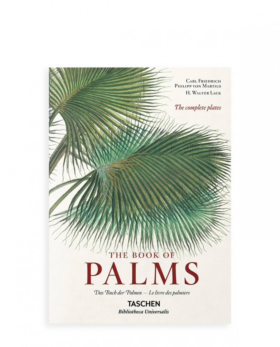 New Mags Buch The Book of Palms XL