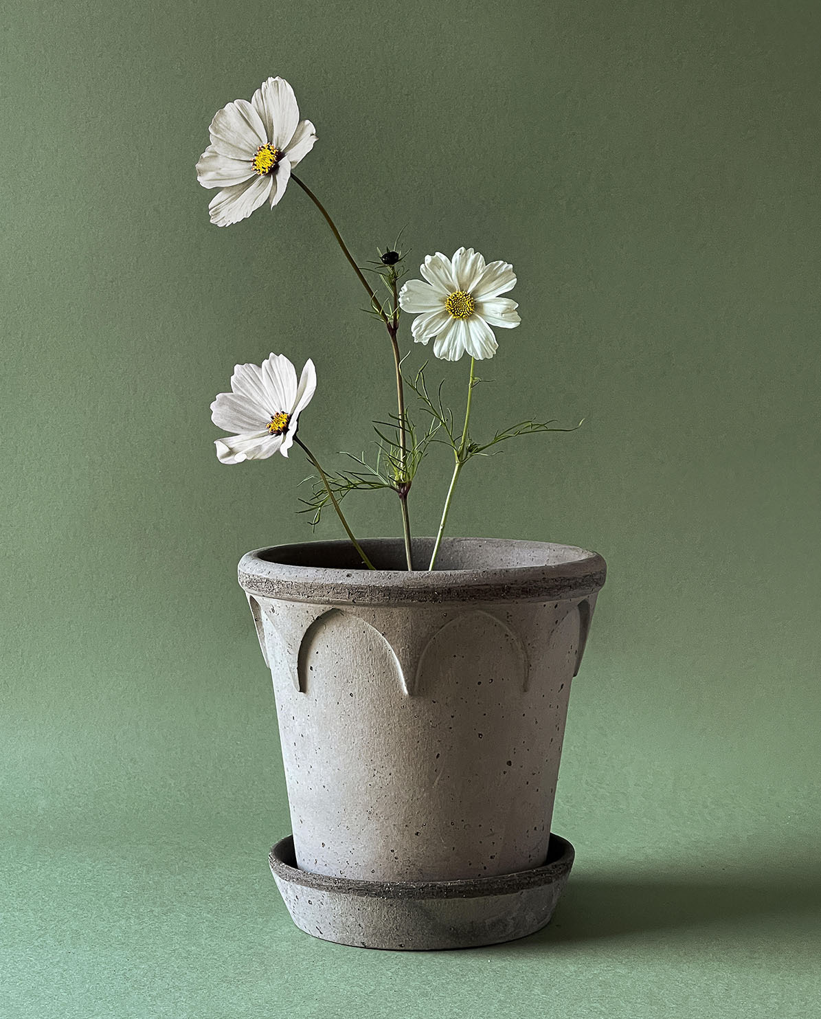 Bergs Potter Blumentopf The Elisabeth Raw Pot inkl. Untersetzer ⌀ 18 cm