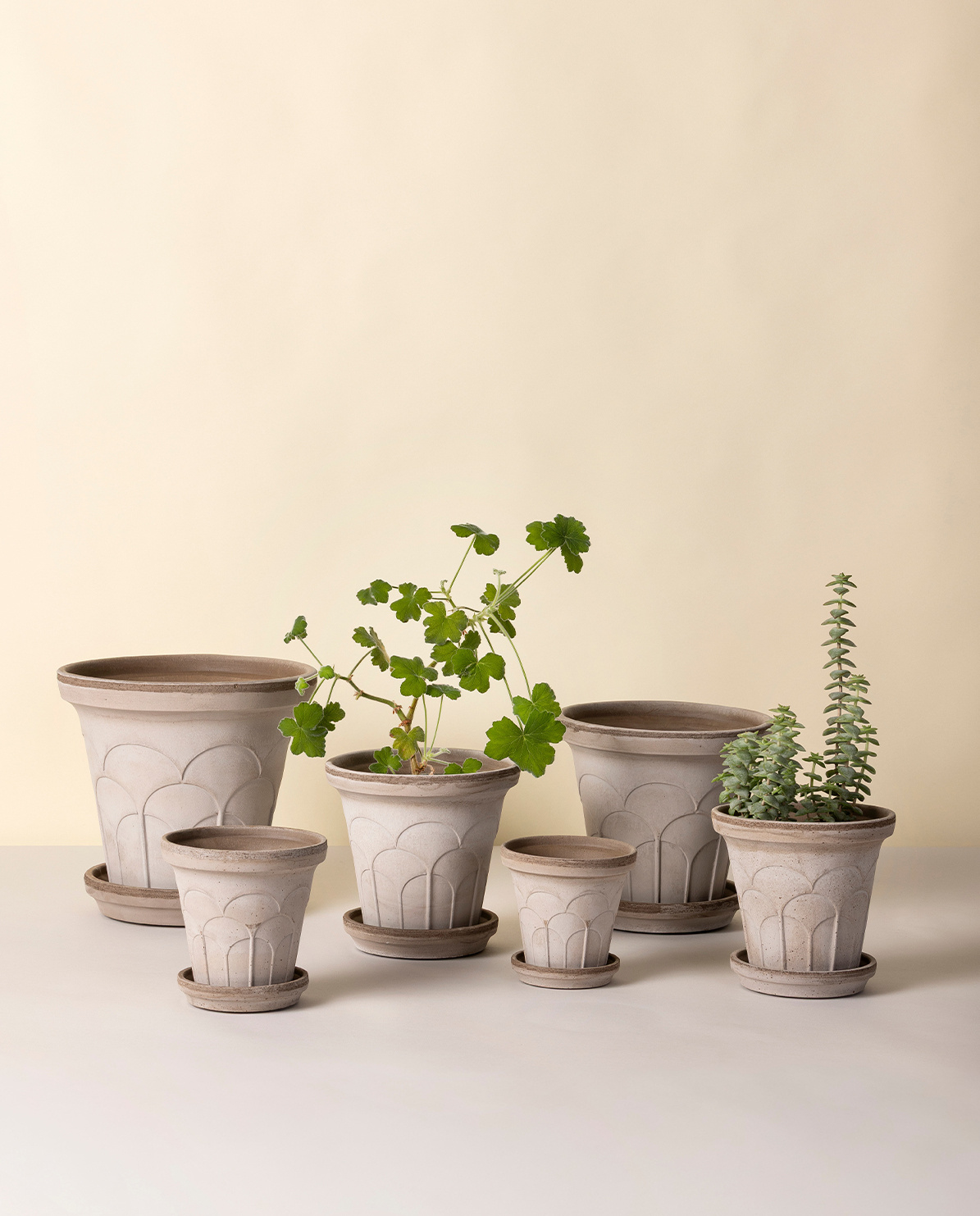 Bergs Potter Blumentopf The Fleur Raw Pot Ø 12 cm