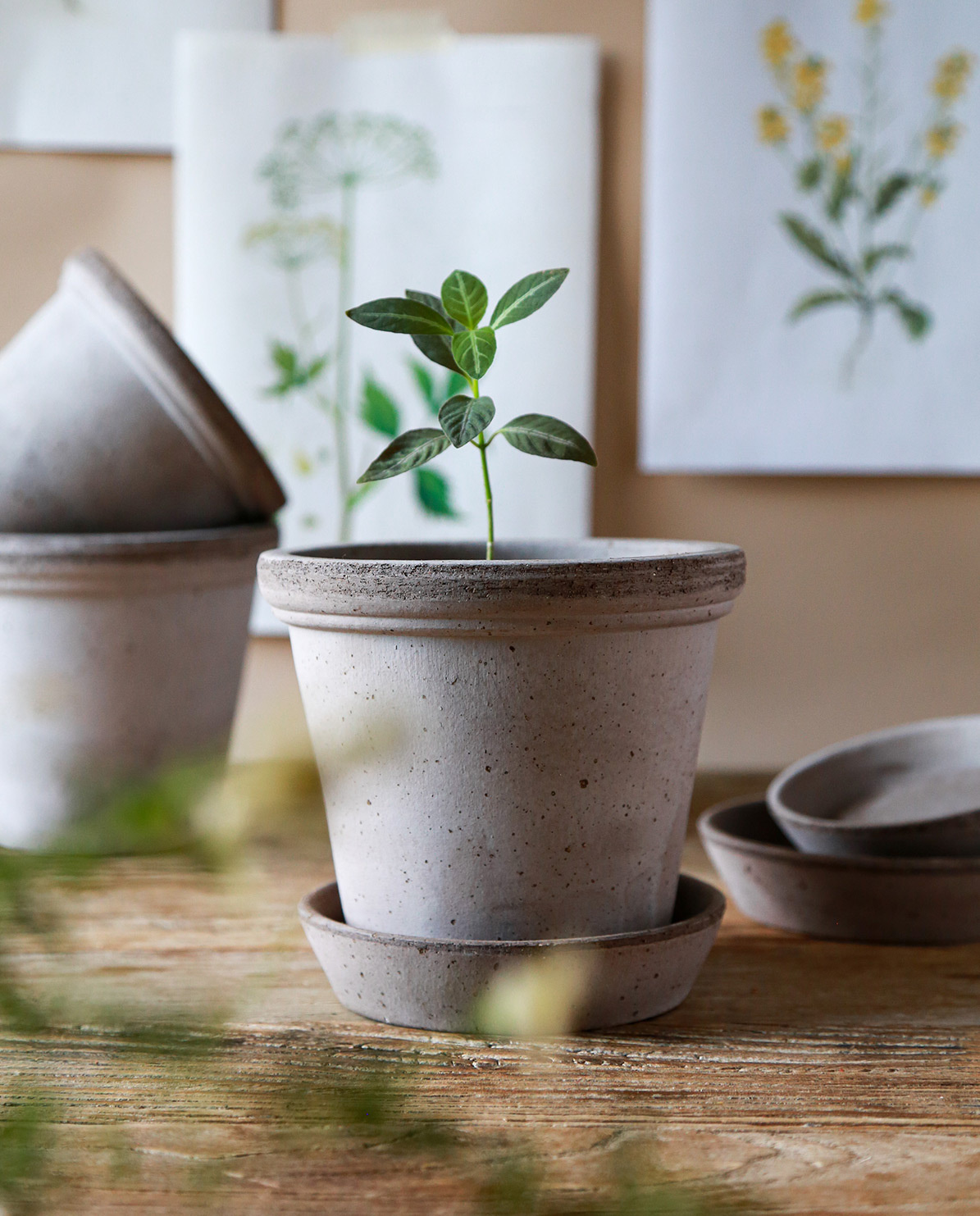 Bergs Potter Blumentopf The Flora Raw Pot inkl. Untersetzer Ø 10 cm