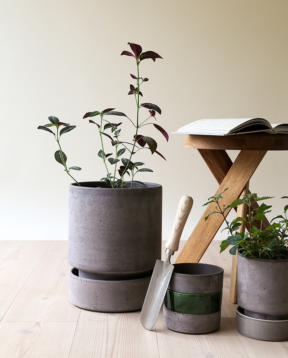 Bergs Potter Blumentopf The Hoff Pot Ø 8 cm