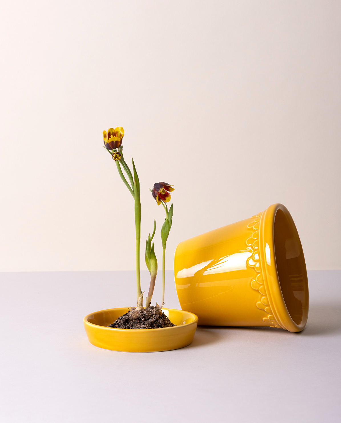 Bergs Potter Blumentopf The Københavner Glazed Pot inkl. Untersetzer ⌀ 10 cm