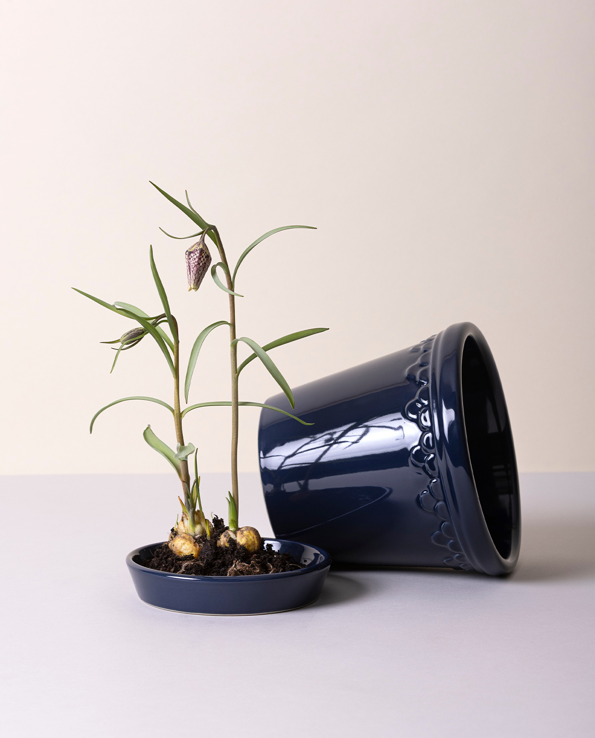 Bergs Potter Blumentopf The Københavner Glazed Pot inkl. Untersetzer ⌀ 10 cm