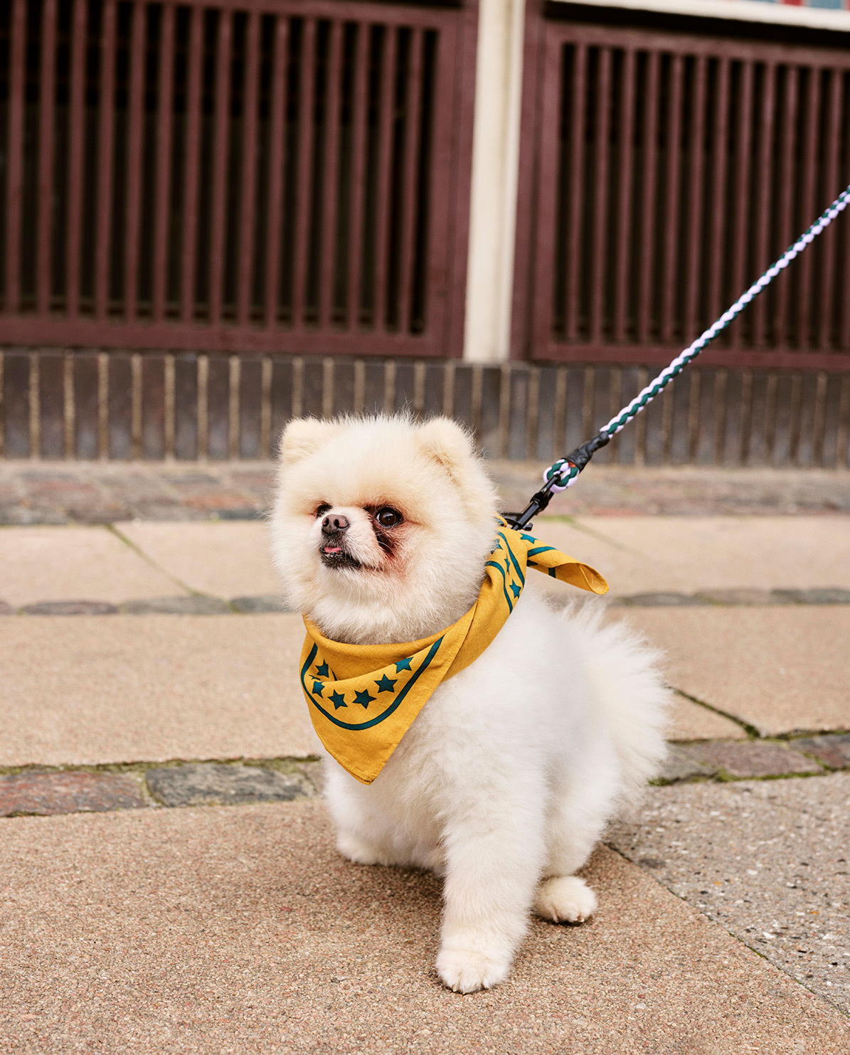 HAY Hundehalstuch One Size