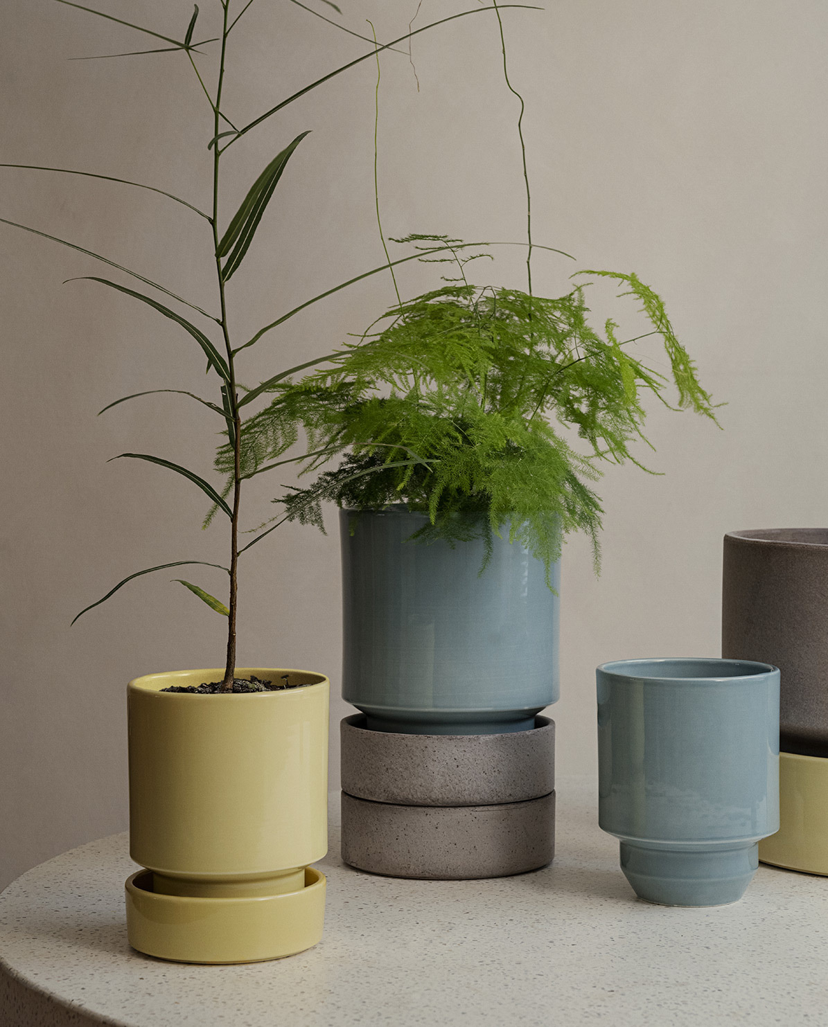 Bergs Potter Untersetzer für Blumentopf The Hoff Pot Ø 8 cm
