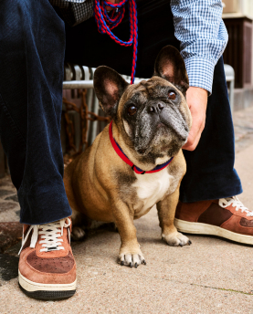 HAY Hundehalsband Collar Flat