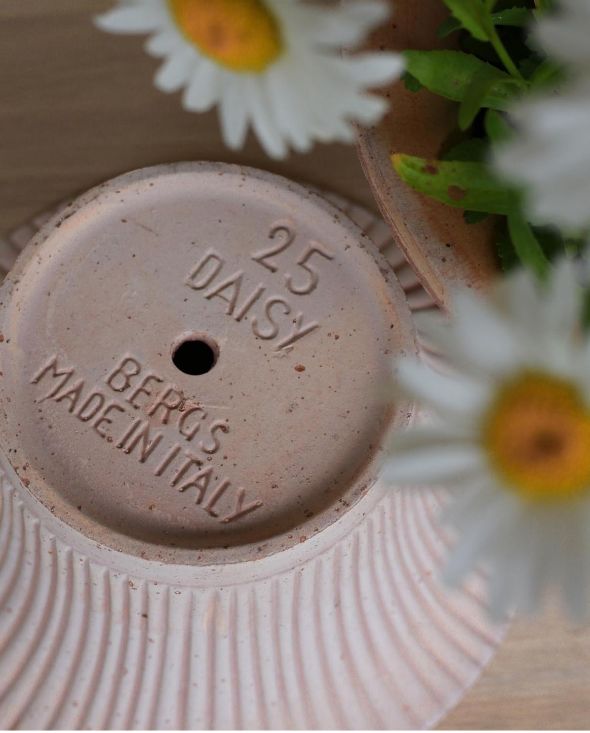 Bergs Potter Blumentopf Daisy Raw Pot inkl. Untersetzer Ø 25 cm