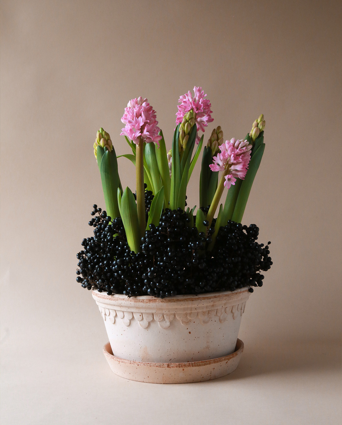 Bergs Potter Blumentopf The Københavner Raw Low Pot inkl. Untersetzer ⌀ 21 cm