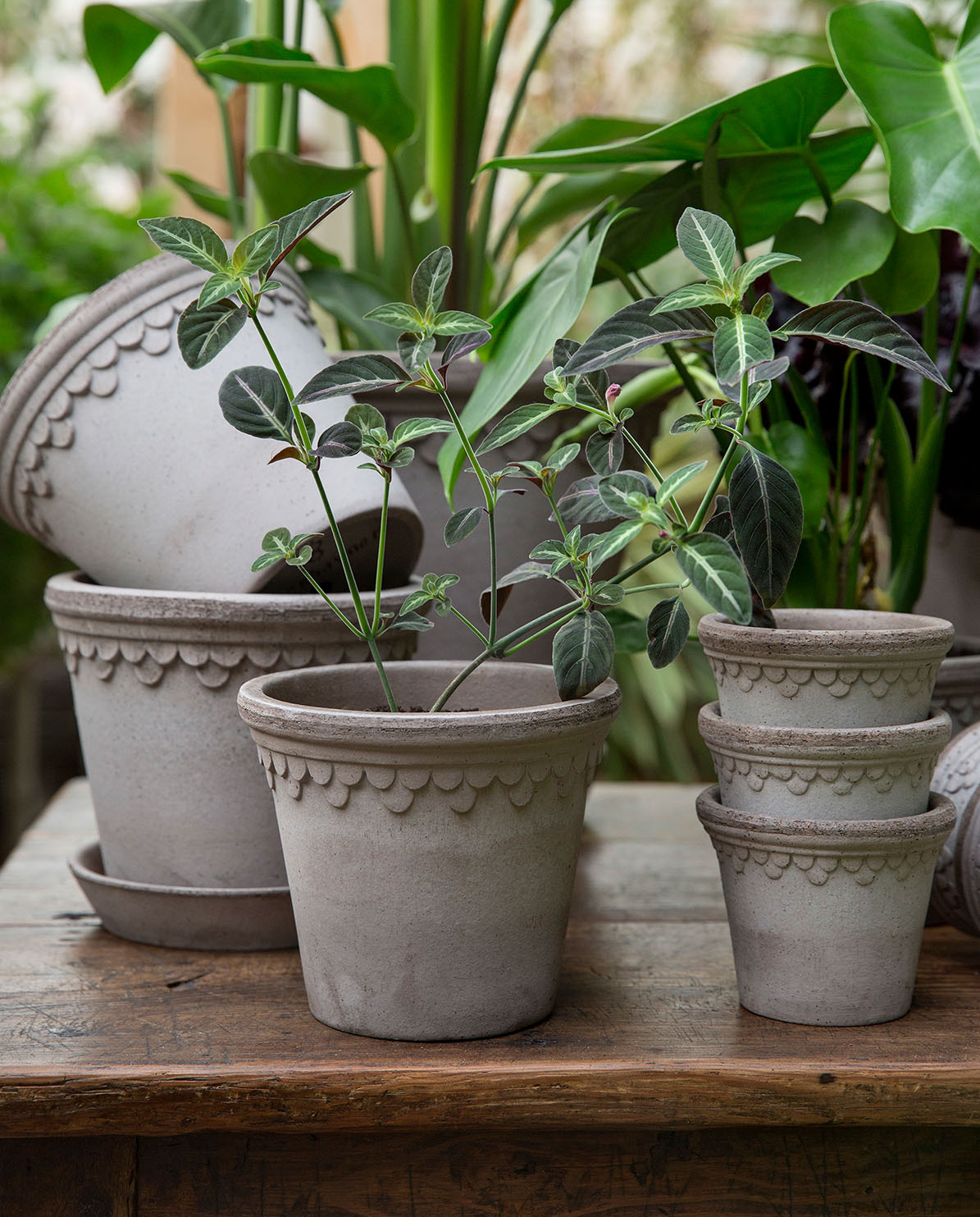 Bergs Potter Blumentopf The Københavner Raw Pot inkl. Untersetzer ⌀ 21 cm
