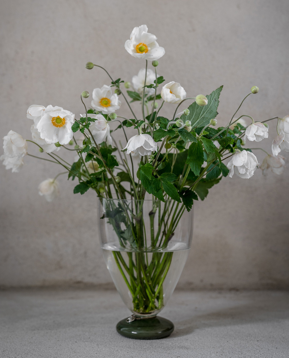 ERNST Vase Glas mit Fuß One Size