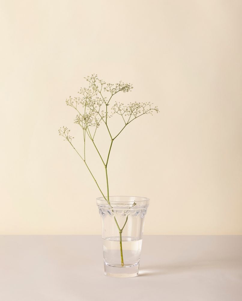 Bergs Potter Vase Københavner clear Ø  11 cm
