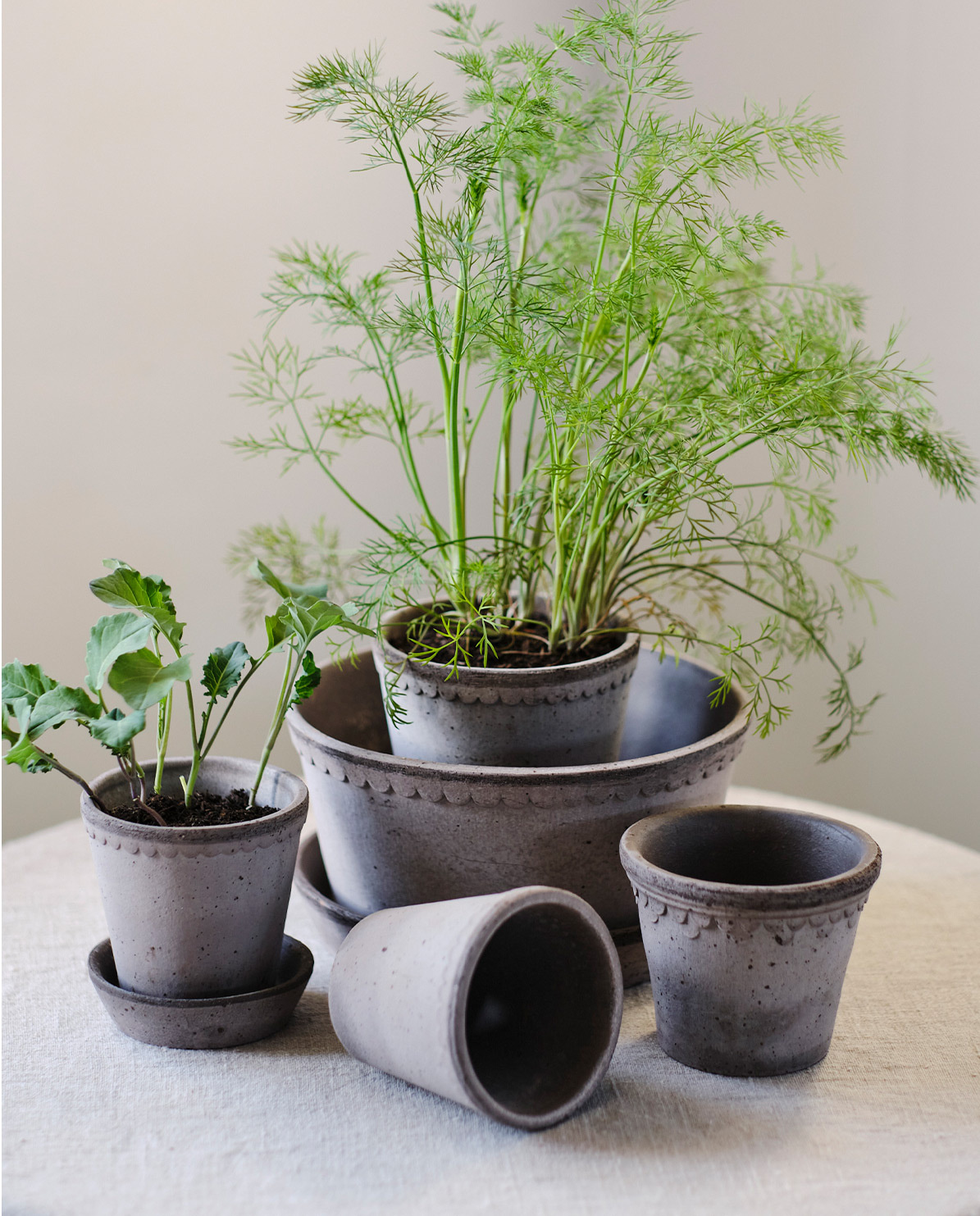 Bergs Potter Blumentopf The Københavner Raw Low Pot inkl. Untersetzer ⌀ 21 cm