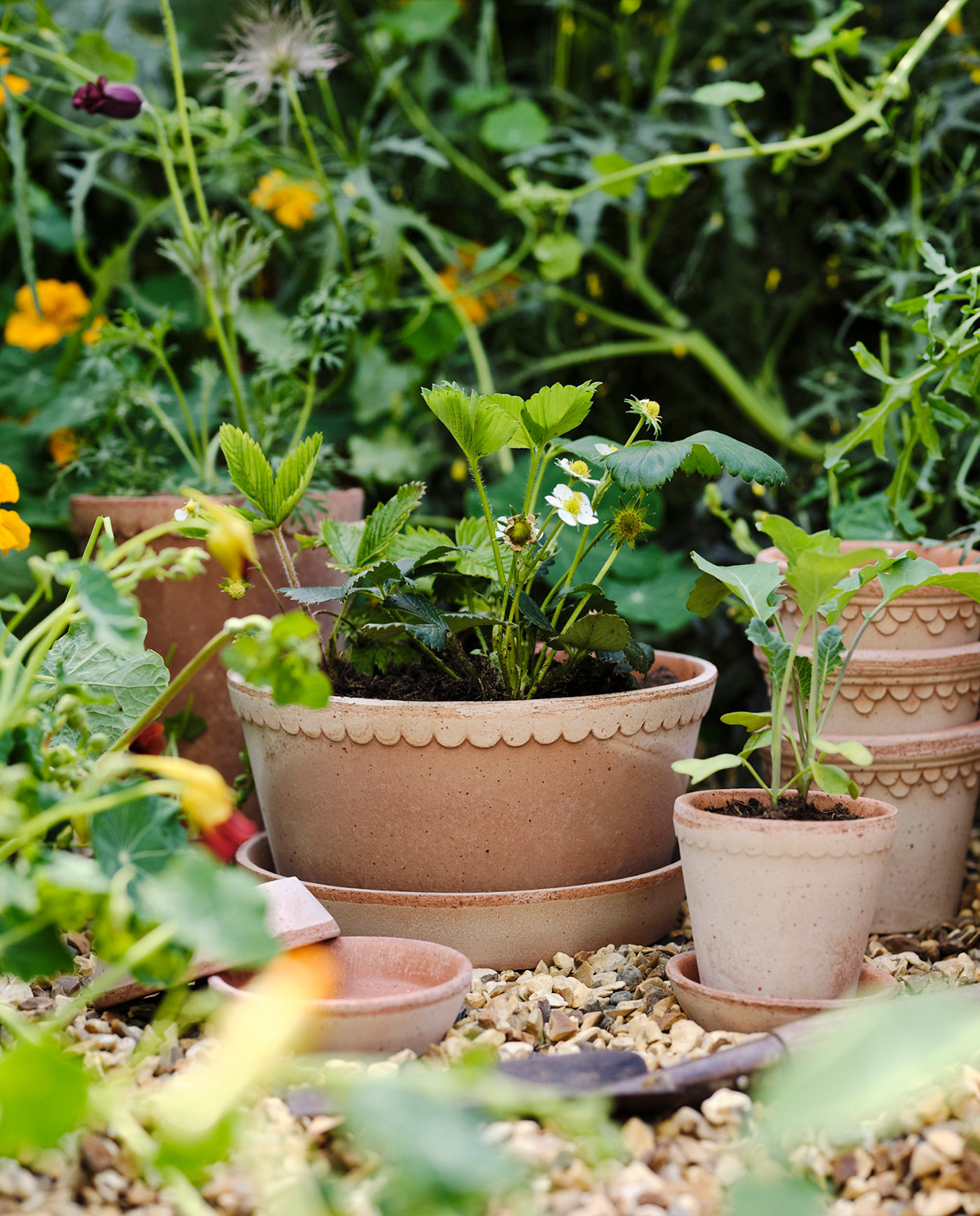 Bergs Potter Blumentopf The Københavner Raw Low Pot inkl. Untersetzer ⌀ 21 cm