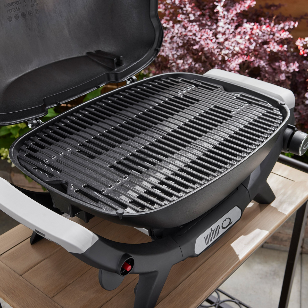 Weber Gasgrill Q 2100N, Black