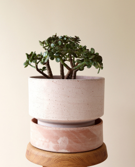 Bergs Potter Untersetzer für Blumentopf The Hoff Pot