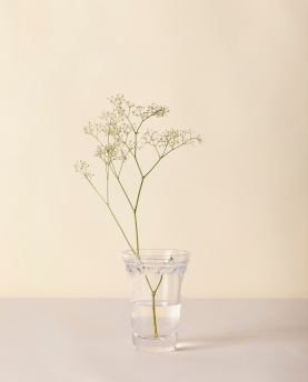 Bergs Potter Vase Københavner clear