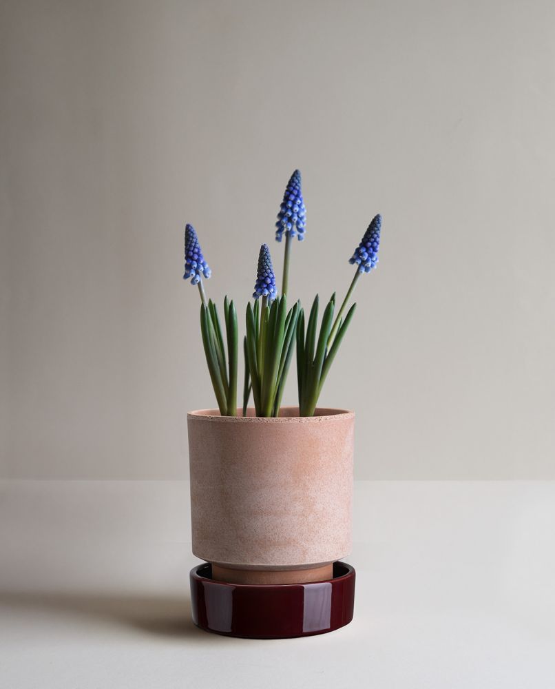 Bergs Potter Untersetzer für Blumentopf The Hoff Pot Ø 8 cm