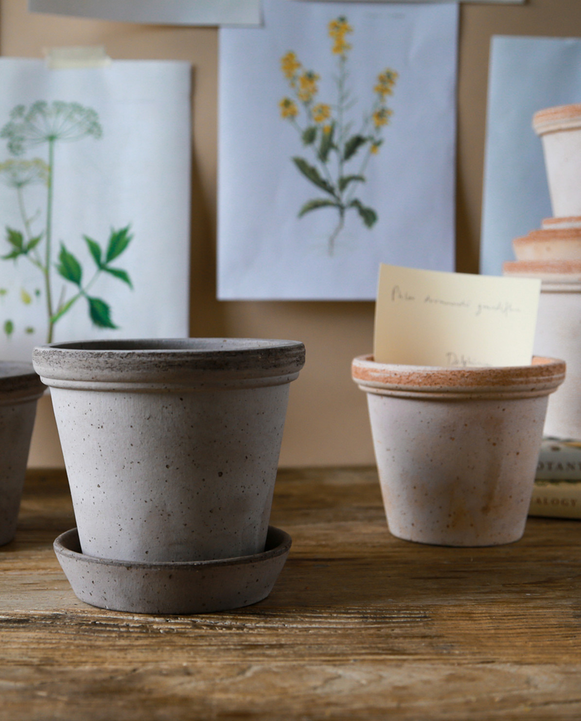 Bergs Potter Blumentopf The Flora Raw Pot inkl. Untersetzer Ø 10 cm