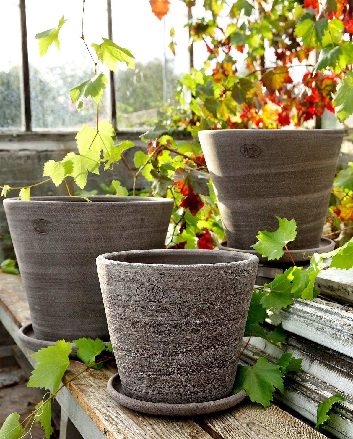 Bergs Potter Blumentopf The Julie Raw Pot inkl. Untersetzer Ø 8 cm