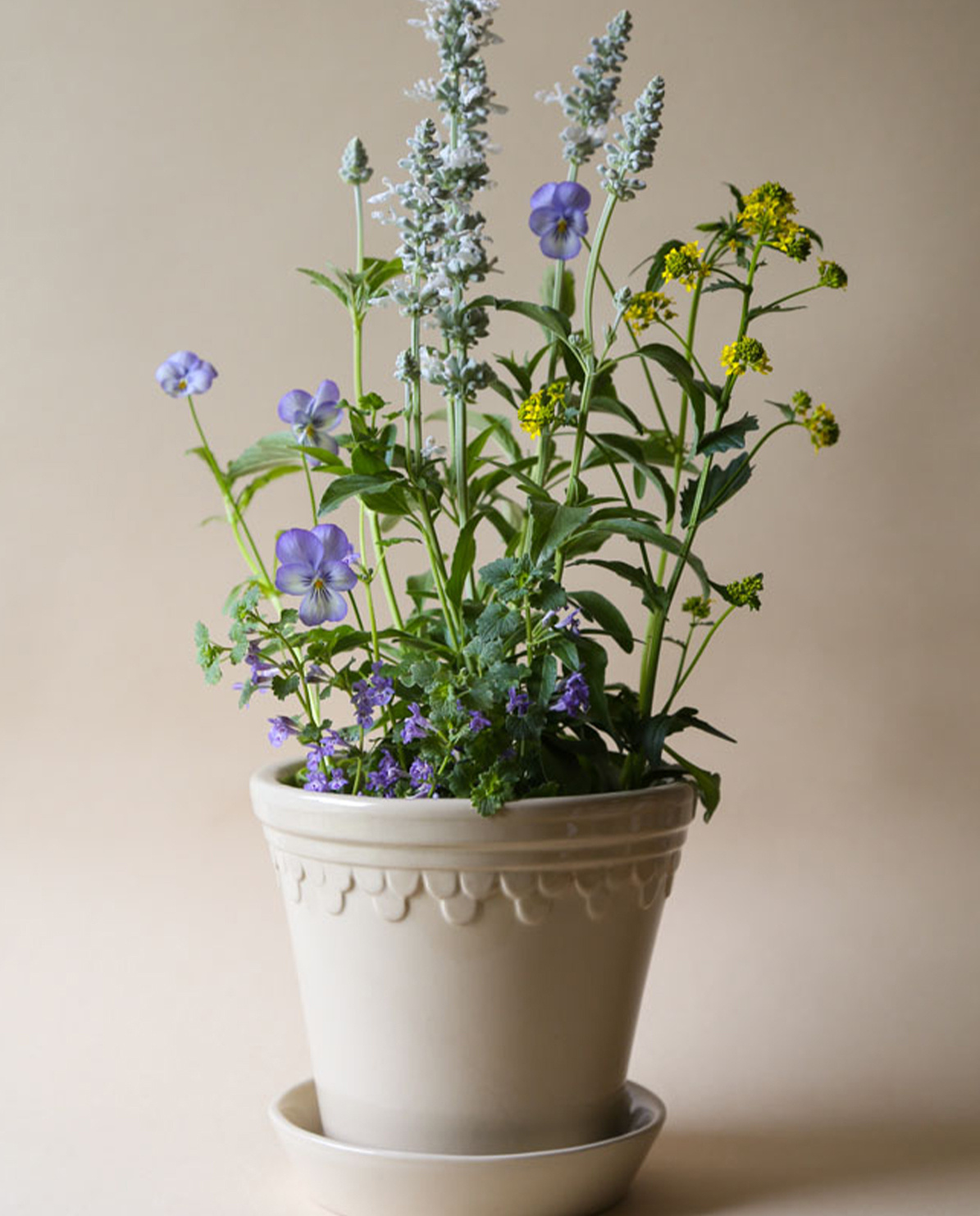Bergs Potter Blumentopf The Københavner Glazed Pot inkl. Untersetzer ⌀ 10 cm