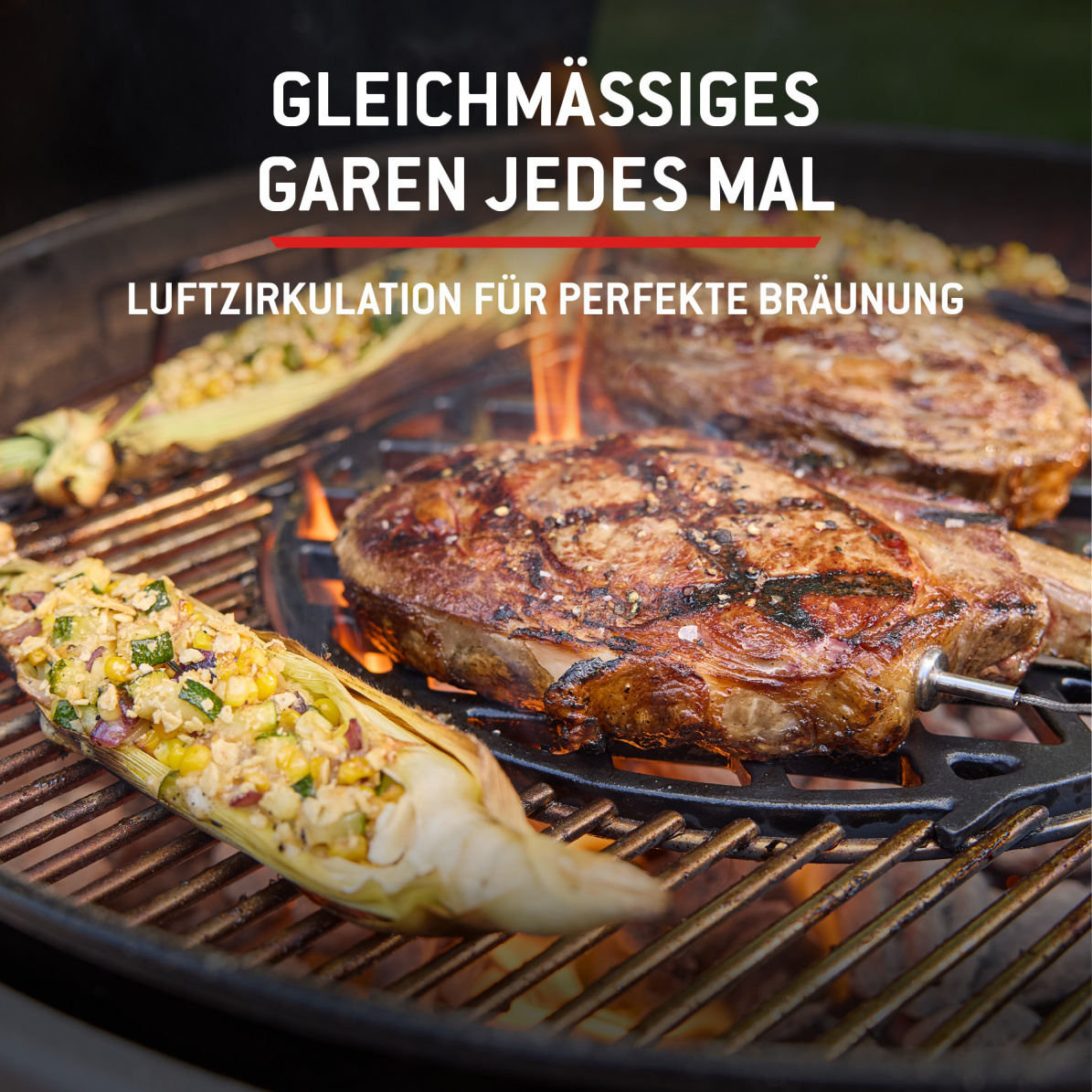 Weber Holzkohlegrill Performer Premium Smart, 57 cm, schwarz (2026)