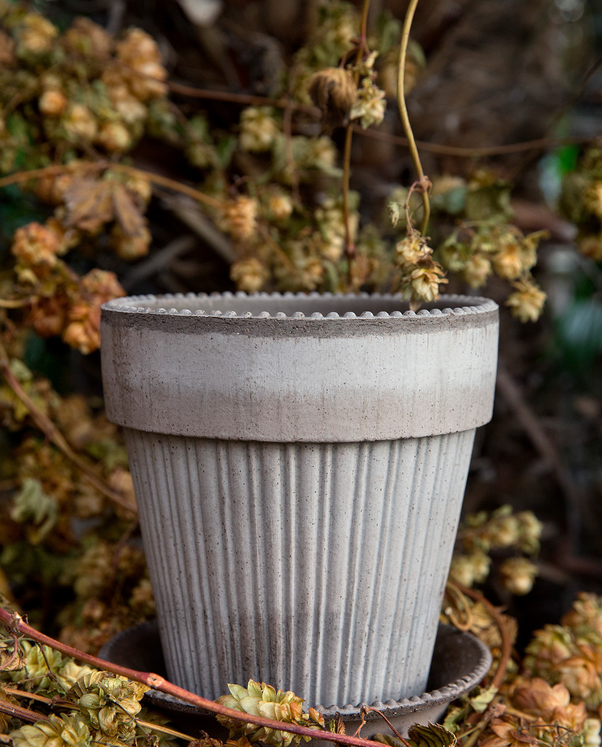 Bergs Potter Blumentopf Simona Raw Pot inkl. Untersetzer Ø 12 cm