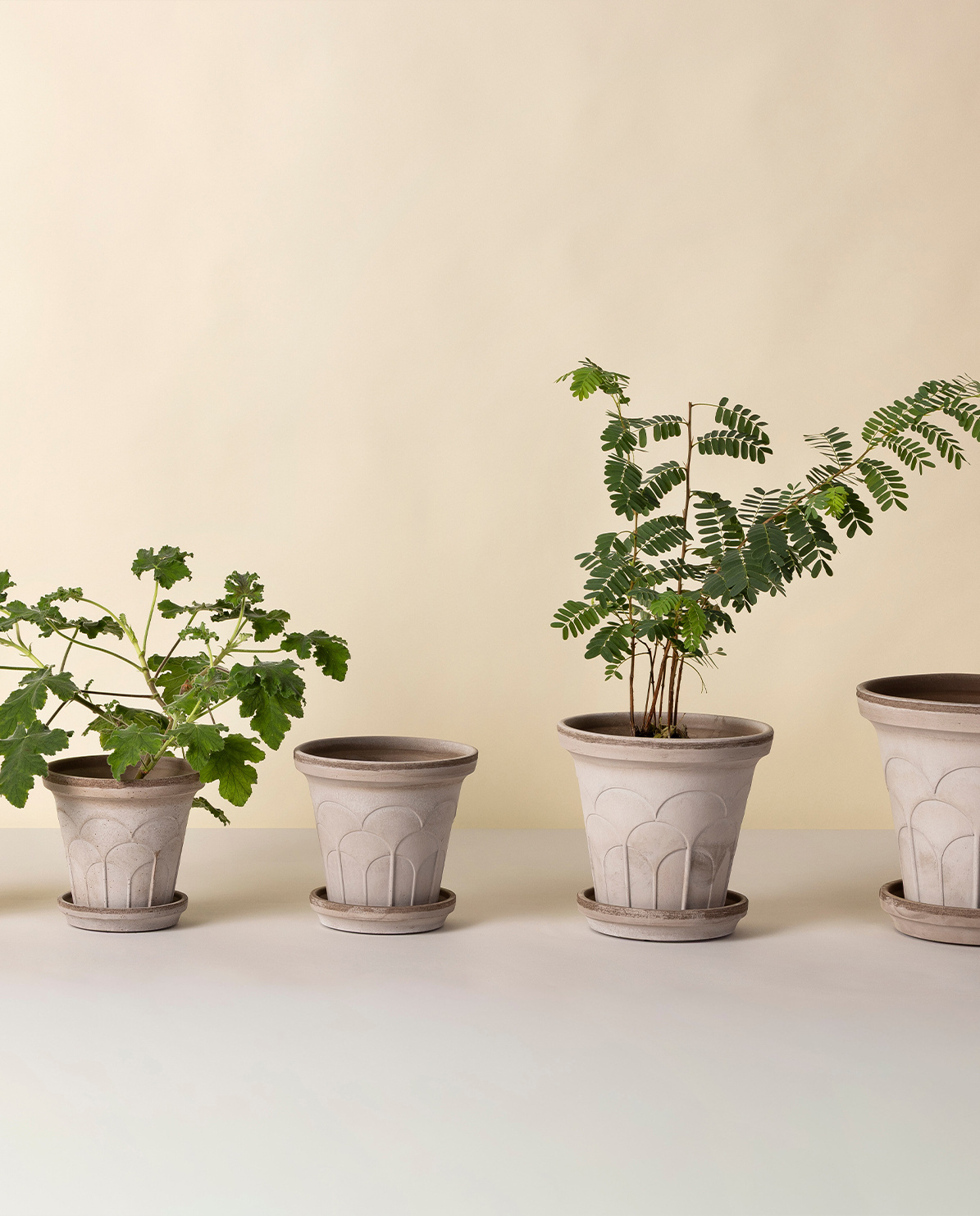 Bergs Potter Blumentopf The Fleur Raw Pot Ø 12 cm