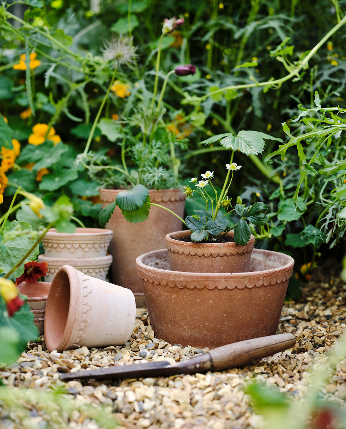 Bergs Potter Blumentopf The Københavner Raw Low Pot inkl. Untersetzer ⌀ 21 cm