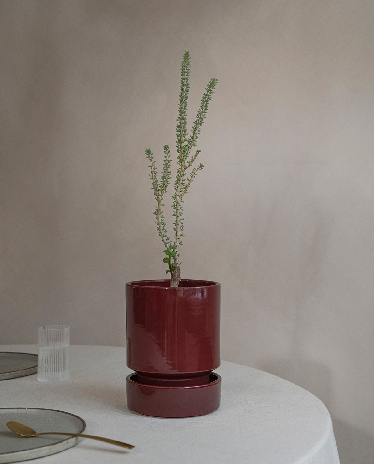 Bergs Potter Untersetzer für Blumentopf The Hoff Pot Ø 8 cm