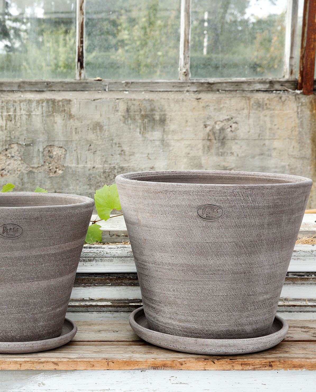 Bergs Potter Blumentopf The Julie Raw Pot inkl. Untersetzer Ø 8 cm