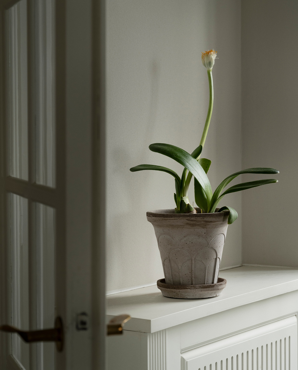 Bergs Potter Blumentopf The Fleur Raw Pot Ø 12 cm
