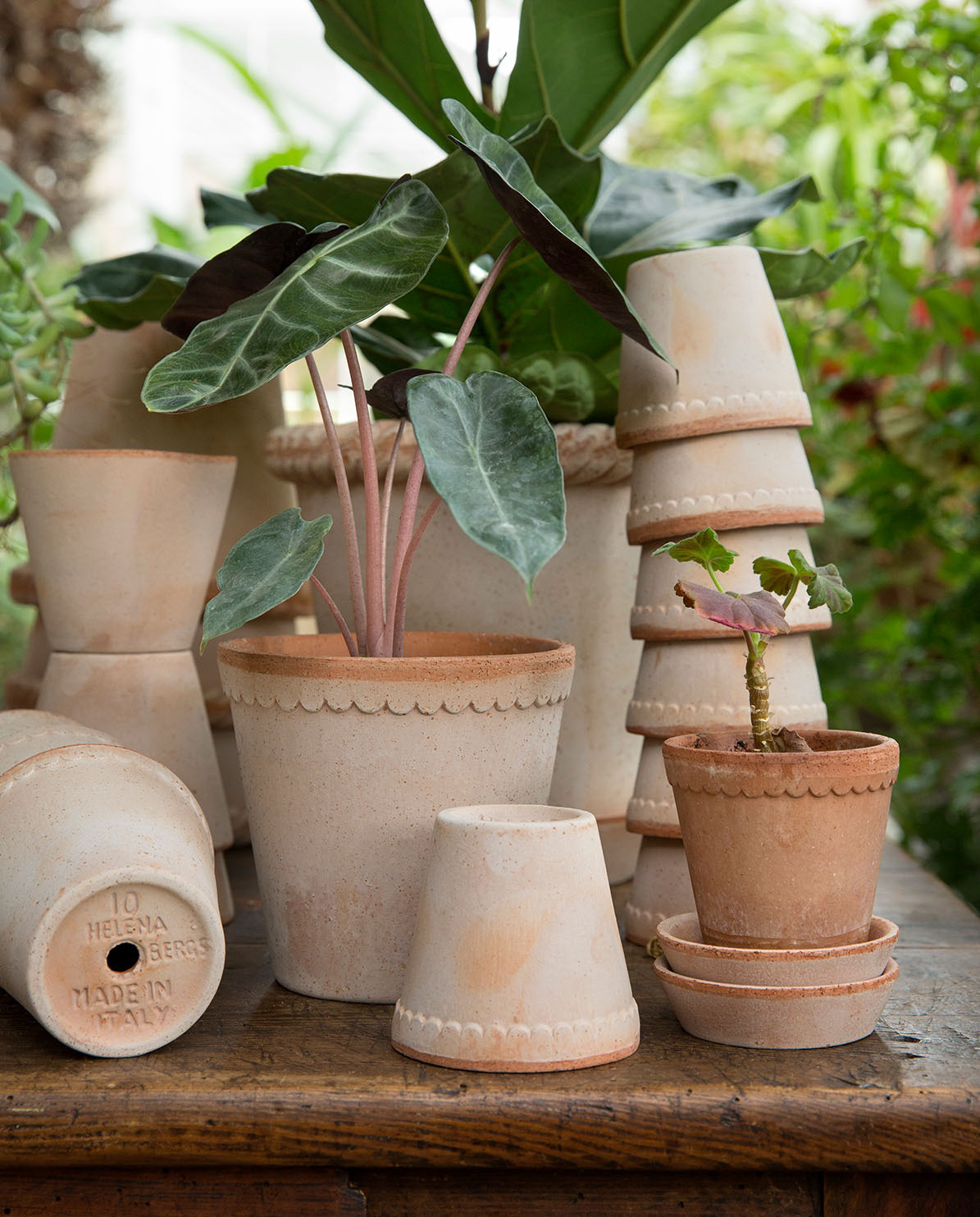 Bergs Potter Blumentopf The Helena Raw Pot inkl. Untersetzer ⌀ 16 cm