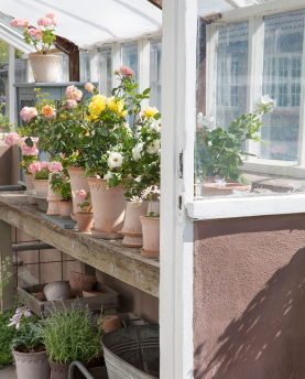 Bergs Potter Blumentopf The Københavner Raw Pot inkl. Untersetzer
